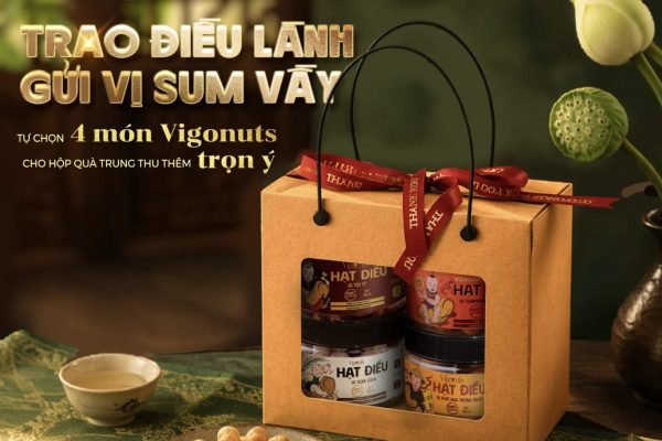 set quà trung thu Vigonuts